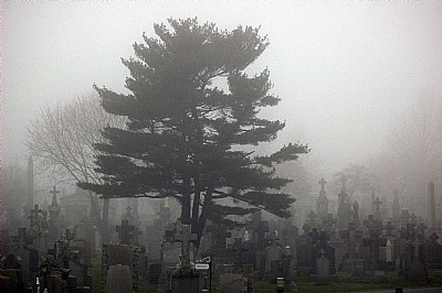 Fog for the Dead