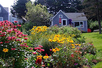 Wild Flowers Garden