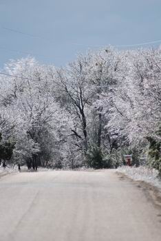 winter's path