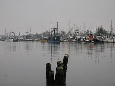 Early Morning in Humboldt Bay
