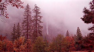 Yosemite Falls in FOG