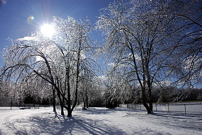 Wixom Sun & Ice