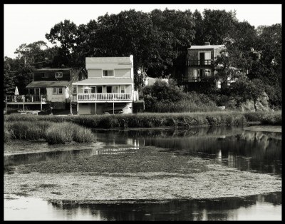 Salt Water Marsh