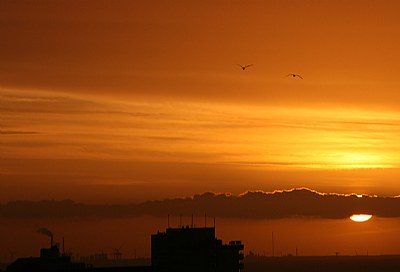 Night fall 