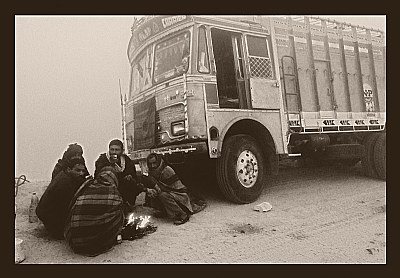 rajasthan fog-4