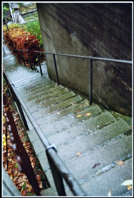 Rainy morning, peaceful stairs