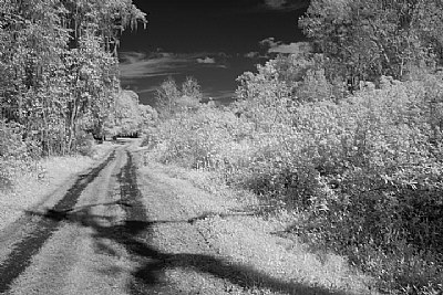 trail