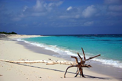 A beach in the Seychelles