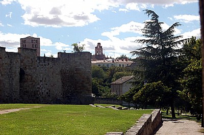 Historical Zamora 2