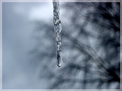 Beauty in ice