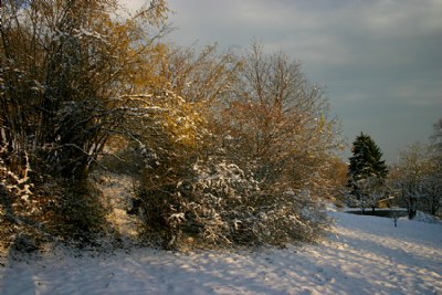 snow, finally