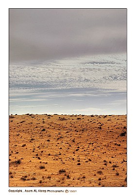 Desert ( HDR )