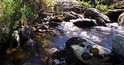 Small Rill Bogong Creek