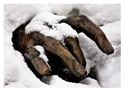 Winter's hand