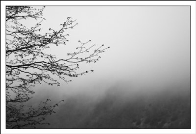 composition with mist