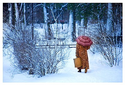 A Walk in the snow