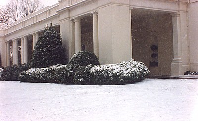 White House Under Snow 2