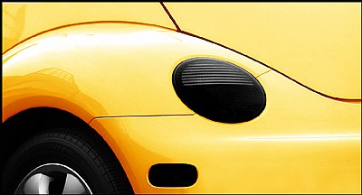 Bumble Beetle