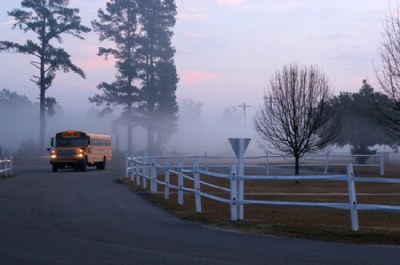 Misty Morning