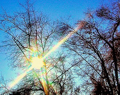 Winter sun