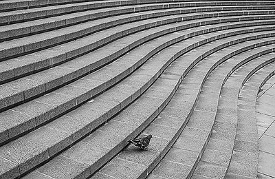 The Harbor Steps