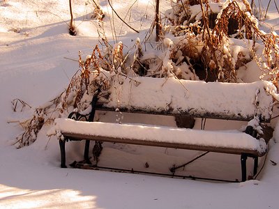 Snow Seat