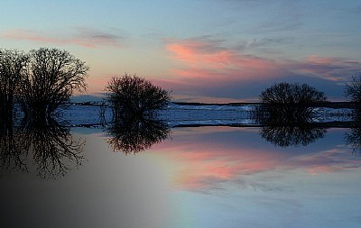 reflect