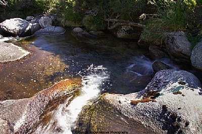 Small Fall Bogong Creek