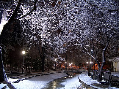 Winter Night