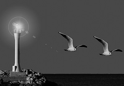 Dream B&W