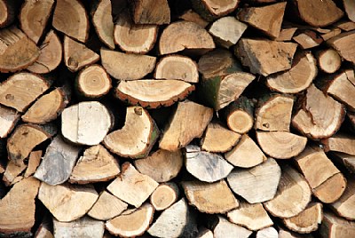 Wood