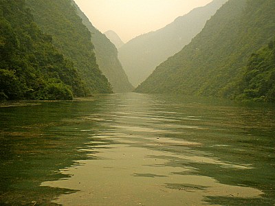 Greenery & River