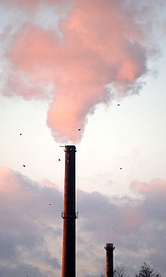 It's only Factory