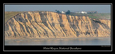 Pt. Reyes National Seashore