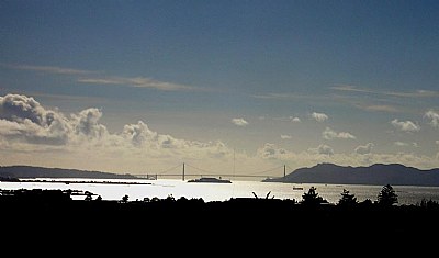 Golden Gate Bridge From Work