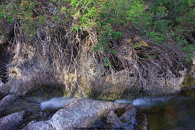 Sidestream, Bogong Creek