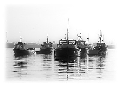 Paddy's Boats