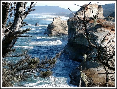Cape Kiwanda Landscape