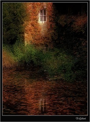 Mystical Window