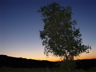 alone after sunset