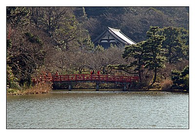 Japanese garden view