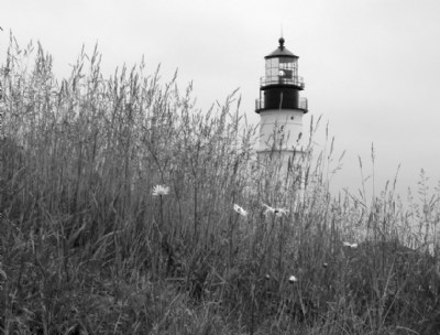 Coastal View