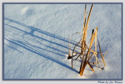 Reeds & Snow 2
