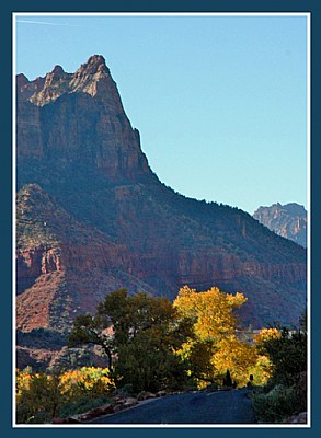 FALL IN ZION