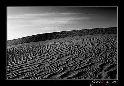 Dune #3