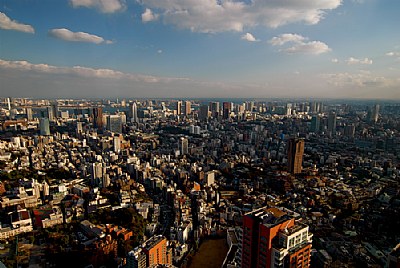 Tokyo during the daytime