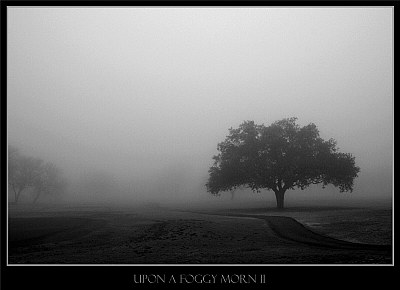 Upon A Foggy Morn II