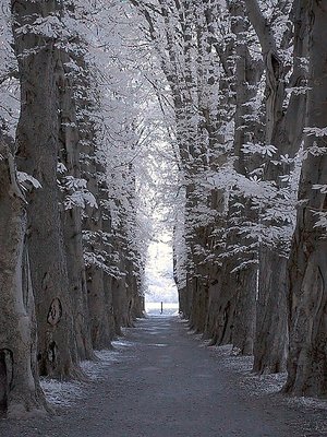 Alley into the Light (IR)