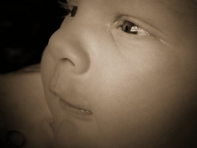 Nicholas
