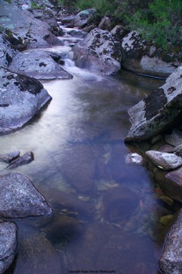 Bogong Creek